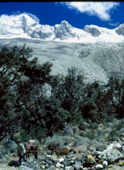 andes_rancher_cropped