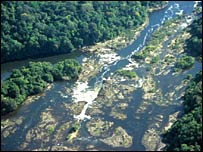 Rainforest in Brazil (Conservation International -Brazil/ Enrico Bernard)